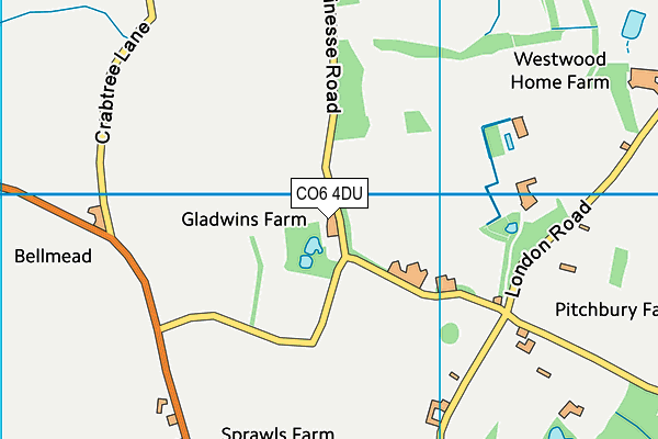 CO6 4DU map - OS VectorMap District (Ordnance Survey)