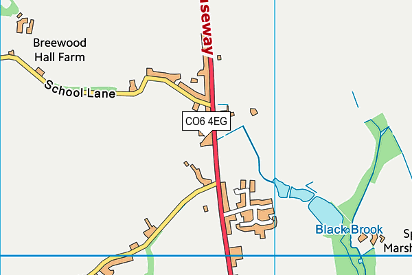 CO6 4EG map - OS VectorMap District (Ordnance Survey)