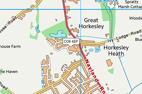 CO6 4EP map - OS VectorMap District (Ordnance Survey)