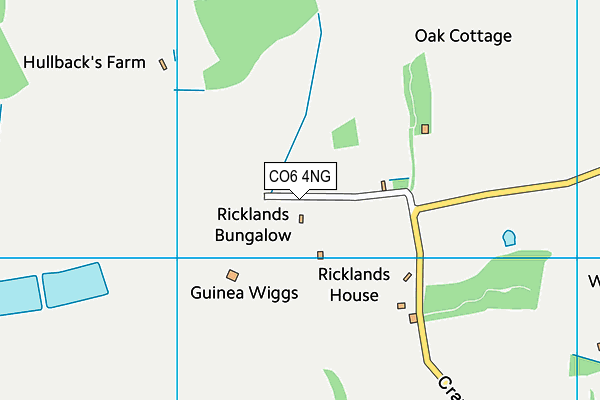 CO6 4NG map - OS VectorMap District (Ordnance Survey)