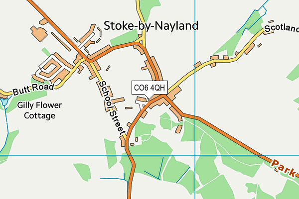 CO6 4QH map - OS VectorMap District (Ordnance Survey)