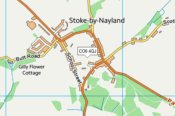 CO6 4QJ map - OS VectorMap District (Ordnance Survey)