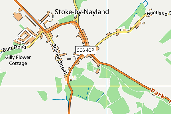 CO6 4QP map - OS VectorMap District (Ordnance Survey)