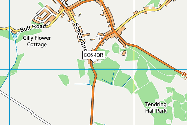 CO6 4QR map - OS VectorMap District (Ordnance Survey)