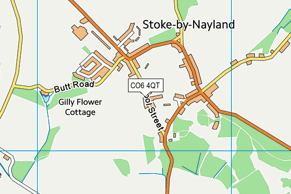 CO6 4QT map - OS VectorMap District (Ordnance Survey)