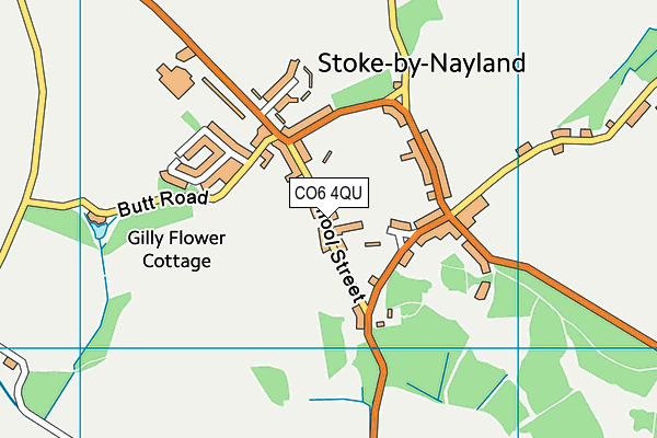 CO6 4QU map - OS VectorMap District (Ordnance Survey)