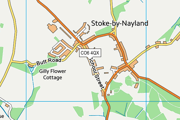 CO6 4QX map - OS VectorMap District (Ordnance Survey)