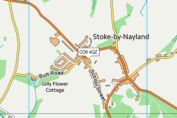 CO6 4QZ map - OS VectorMap District (Ordnance Survey)