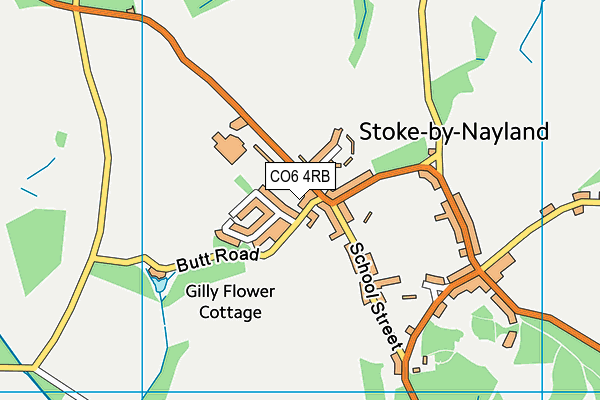 CO6 4RB map - OS VectorMap District (Ordnance Survey)