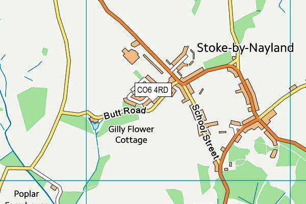 CO6 4RD map - OS VectorMap District (Ordnance Survey)