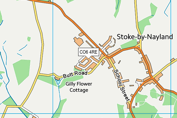 CO6 4RE map - OS VectorMap District (Ordnance Survey)