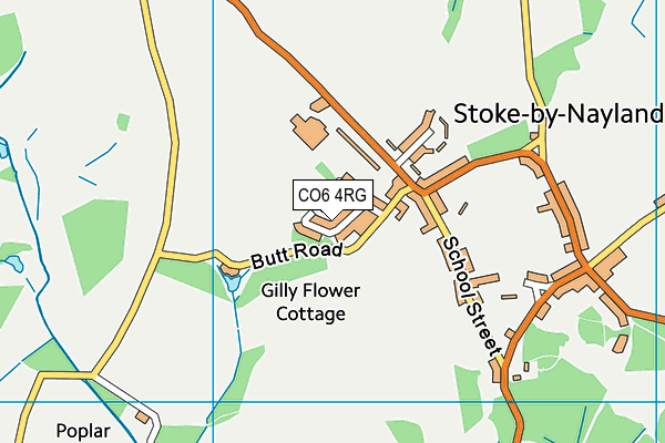 CO6 4RG map - OS VectorMap District (Ordnance Survey)