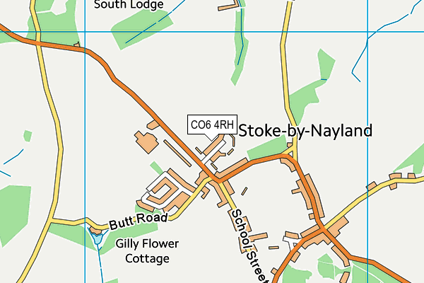 CO6 4RH map - OS VectorMap District (Ordnance Survey)