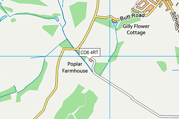 CO6 4RT map - OS VectorMap District (Ordnance Survey)