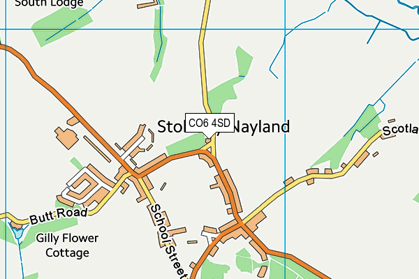 CO6 4SD map - OS VectorMap District (Ordnance Survey)