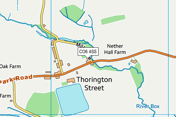 CO6 4SS map - OS VectorMap District (Ordnance Survey)