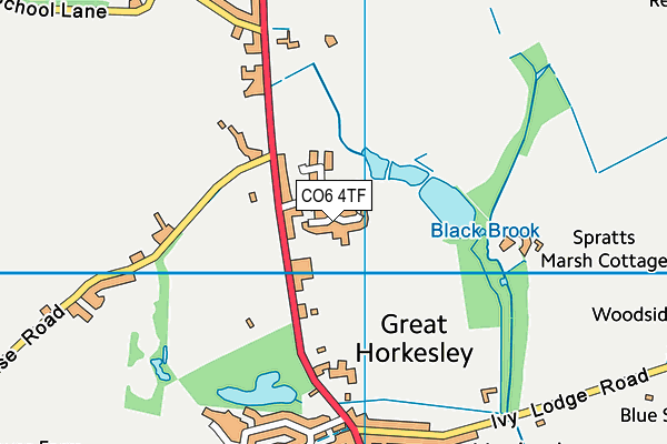 CO6 4TF map - OS VectorMap District (Ordnance Survey)