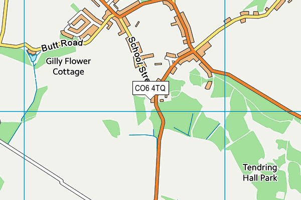 CO6 4TQ map - OS VectorMap District (Ordnance Survey)