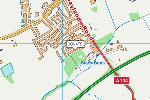 CO6 4TS map - OS VectorMap District (Ordnance Survey)