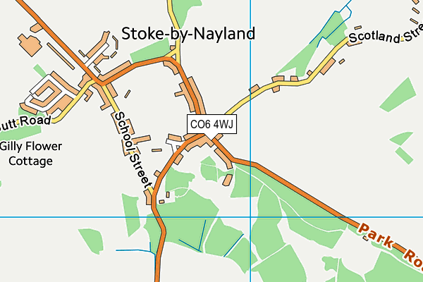 CO6 4WJ map - OS VectorMap District (Ordnance Survey)