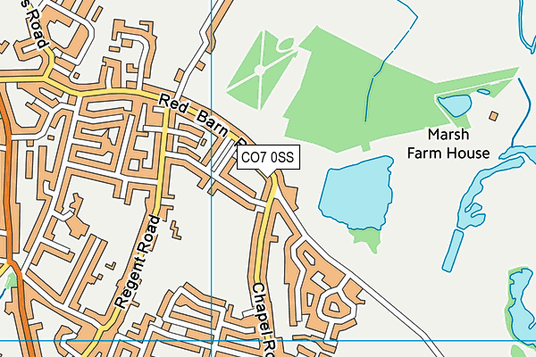 CO7 0SS map - OS VectorMap District (Ordnance Survey)