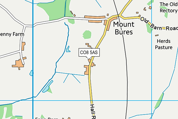 CO8 5AS map - OS VectorMap District (Ordnance Survey)