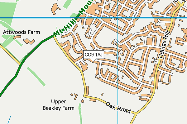 CO9 1AJ map - OS VectorMap District (Ordnance Survey)