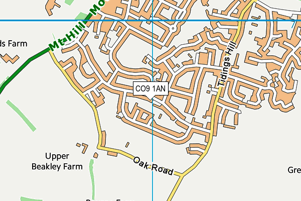 CO9 1AN map - OS VectorMap District (Ordnance Survey)