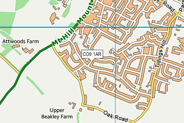 CO9 1AR map - OS VectorMap District (Ordnance Survey)