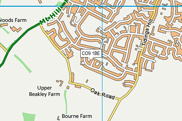 CO9 1BE map - OS VectorMap District (Ordnance Survey)