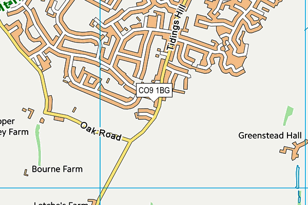 CO9 1BG map - OS VectorMap District (Ordnance Survey)