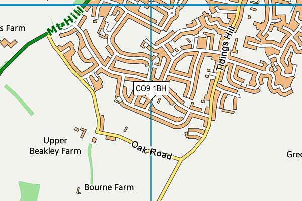 CO9 1BH map - OS VectorMap District (Ordnance Survey)