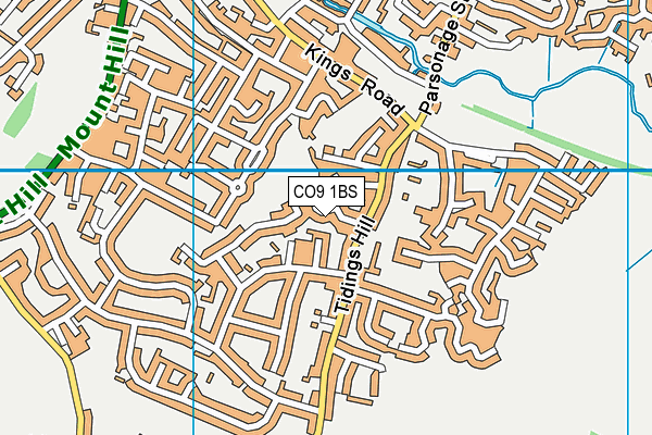 CO9 1BS map - OS VectorMap District (Ordnance Survey)