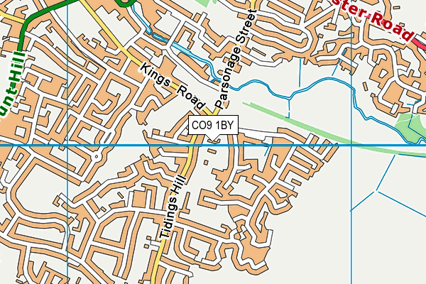 CO9 1BY map - OS VectorMap District (Ordnance Survey)