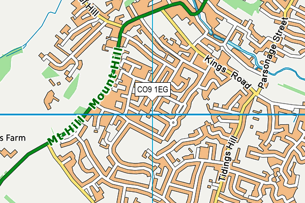 CO9 1EG map - OS VectorMap District (Ordnance Survey)