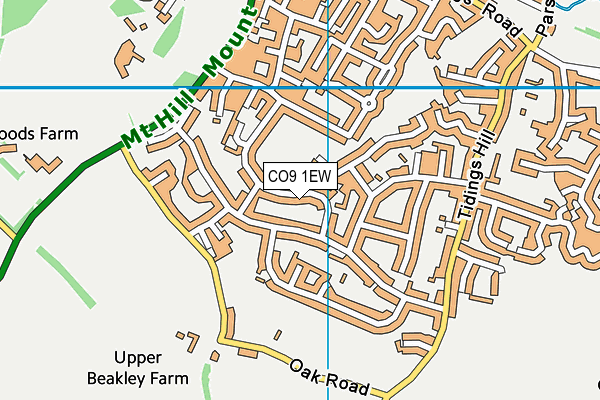 CO9 1EW map - OS VectorMap District (Ordnance Survey)