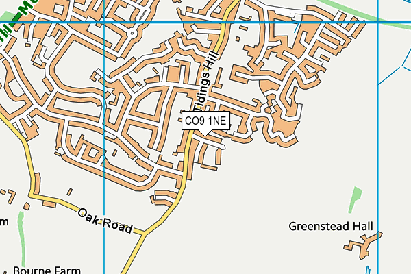 CO9 1NE map - OS VectorMap District (Ordnance Survey)
