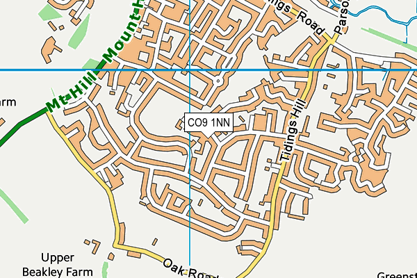 CO9 1NN map - OS VectorMap District (Ordnance Survey)