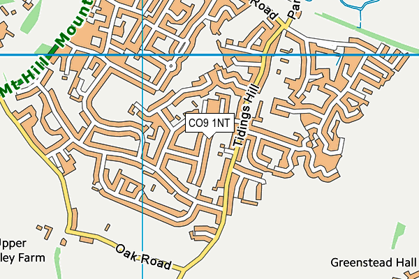 CO9 1NT map - OS VectorMap District (Ordnance Survey)