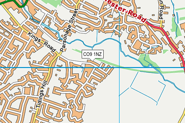 CO9 1NZ map - OS VectorMap District (Ordnance Survey)