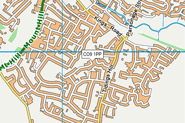 CO9 1PP map - OS VectorMap District (Ordnance Survey)