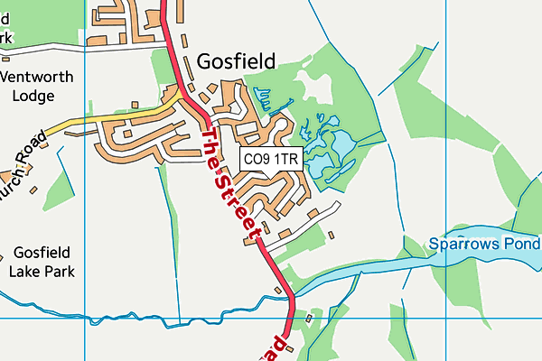 CO9 1TR map - OS VectorMap District (Ordnance Survey)