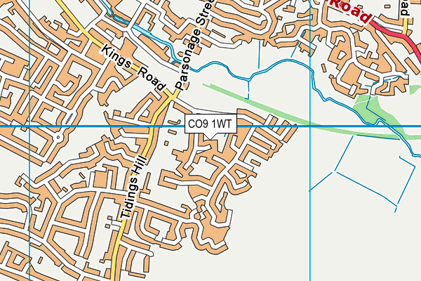 CO9 1WT map - OS VectorMap District (Ordnance Survey)