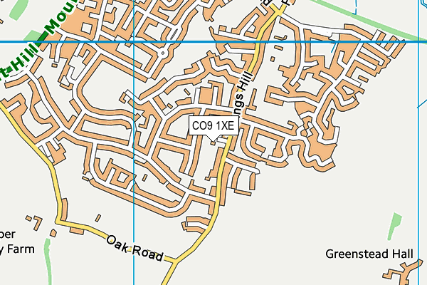 CO9 1XE map - OS VectorMap District (Ordnance Survey)