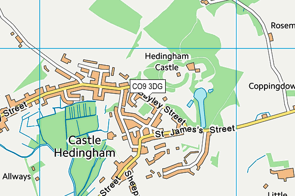 Map of CASTLE HEDINGHAM ENGINEERING SUPPORT SERVICES LTD at district scale