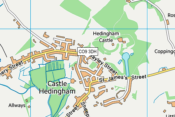 CO9 3DH map - OS VectorMap District (Ordnance Survey)