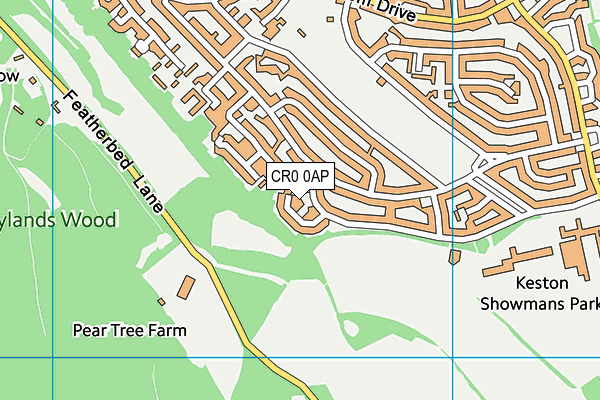 CR0 0AP map - OS VectorMap District (Ordnance Survey)