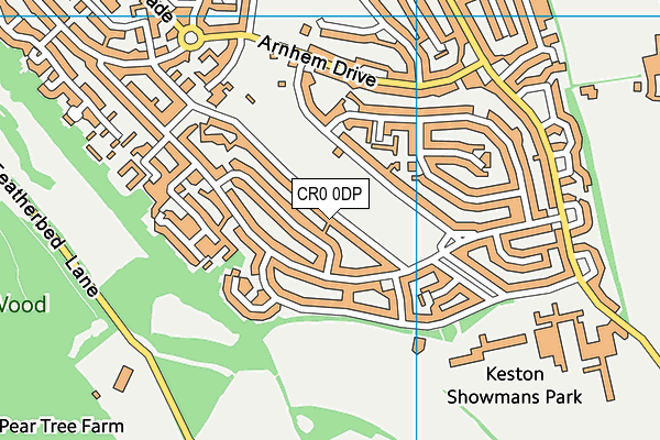 CR0 0DP map - OS VectorMap District (Ordnance Survey)