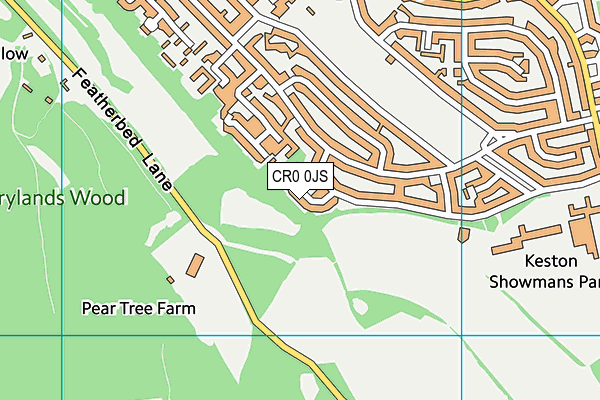 CR0 0JS map - OS VectorMap District (Ordnance Survey)