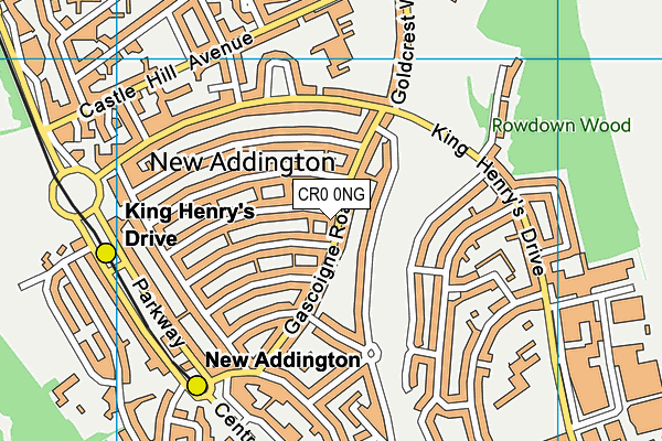 CR0 0NG map - OS VectorMap District (Ordnance Survey)